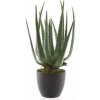 Květina Umělá aloe vera, v květináči, zelená, výška 40 cm