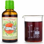 Bylinné kapky Paměť kapky tinktura 50 ml – Hledejceny.cz