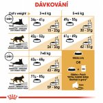 Royal Canin British Shorthair Adult 2 kg – Zboží Mobilmania