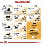 Royal Canin British Shorthair Adult 2 kg – Zboží Dáma