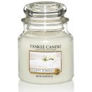 Yankee Candle vosk do aromalampy Fluffy Towels 22 g