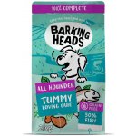 Barking Heads All Hounder Tummy Lovin' Care Fish 2 kg – Hledejceny.cz