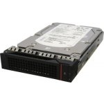 Lenovo ThinkServer 1TB, 3,5", 7200rpm, SATA, 0C19502 – Sleviste.cz