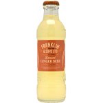 Franklin & Sons Ginger Beer zázvorová limonáda 200 ml – Hledejceny.cz