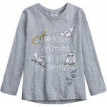 Dívčí tričko HARRY POTTER SOVA HEDVIKA šedá – Zboží Dáma