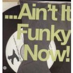 Various - Ain't It Funky Now! LP – Hledejceny.cz
