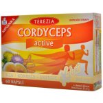 Terezia Company Cordyceps active kapslí 60 – Hledejceny.cz