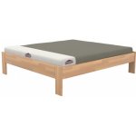 Domestav EKONOMY HORTENZIE FUTON buk cink – Hledejceny.cz
