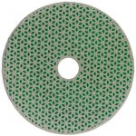 Festa Kotouč brusný diamantový 100 mm P120 24666 – Zboží Dáma