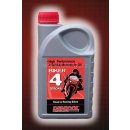 Denicol BIKER 4T 10W-40 1 l