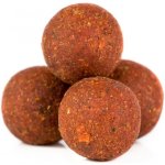 Mikbaits Spiceman Boilies 1 kg 20 mm Chilli Squid – Hledejceny.cz
