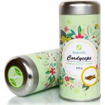 Naturalis Cordyceps extrakt v prášku 100 g – Hledejceny.cz