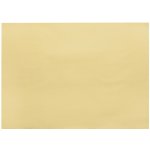 Infibra Jednorázové papírové prostírání slonová kost New 30x40cm 250ks – Zboží Dáma