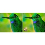 Optoma UHD300X – Zboží Mobilmania