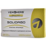 Vemoherb Solidago Zlatobýl obecný 24 kapslí – Hledejceny.cz
