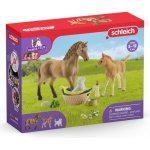 Schleich 42432 Set hříbě a Quarter kůň se štěňátkem a doplňky – Zbozi.Blesk.cz