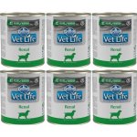 Vet Life Natural Dog Renal 300 g – Hledejceny.cz