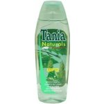 Tania Naturals březový šampon 1000 ml – Hledejceny.cz