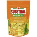 Substral pro vinnou révu 350g – Hledejceny.cz