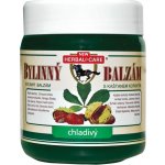 Herbal bylinný balzám s kaštanem chladivý 500 ml – Zboží Dáma