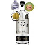 Karl LIQ Rynglovice 48% 0,5 l (holá láhev) – Hledejceny.cz