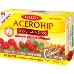 Terezia Vitamín C 500 trio natur 60 kapslí – Hledejceny.cz