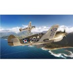 Airfix Classic Kit letadlo A01003B Curtiss P 40B Warhawk 1:72 – Sleviste.cz