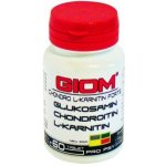 Giom Chondro L-karnitin Forte 180 tbl – Hledejceny.cz