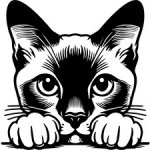 samolepka Siamská kočka – Zboží Živě