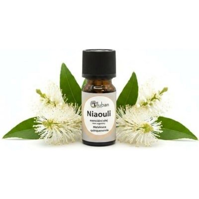 Luban Niaouli 100% organický esenciální olej 10 ml – Hledejceny.cz