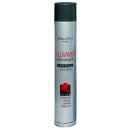 ALLW Julien ďIrvy Hair Spray 750 ml