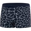 Koupací šortky, boardshorts Speedo Valmilton Aquashorts Mens Blue/White