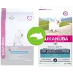 Eukanuba West Highland White Terrier 3 x 2,5 kg – Hledejceny.cz