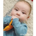 Lanco tygřík – Zboží Dáma