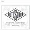 Struna Rotosound NP010