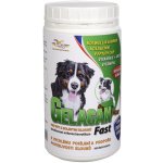 Gelacan Fast 500 g a.u.v. – HobbyKompas.cz