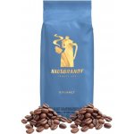 Hausbrandt Gourmet zrnková 0,5 kg – Hledejceny.cz