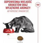 Royal Canin Cat Fussy Exigent 2 kg – Sleviste.cz