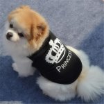 Surtep Animals Tričko pro psa – Zboží Dáma