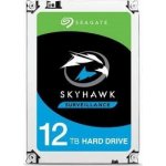 Seagate SkyHawk AI 12TB, ST12000VE001 – Zboží Mobilmania