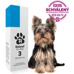 Releaf 3 CBD olej pro psy 10 ml – Hledejceny.cz
