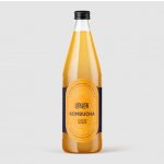 Loklok Kombucha Zázvor 0,75 l – Hledejceny.cz