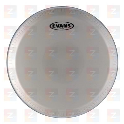 Evans EC1100 – Zboží Dáma