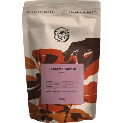 Instytut Kawy Costa Rica Tarrazu Coffee Institute zrnková 250 g – Hledejceny.cz