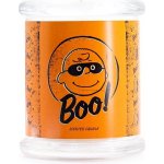 PEANUTS Boo 250 g – Sleviste.cz
