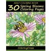 Omalovánka Adult Coloring Book