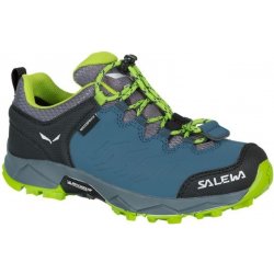 Salewa Trainer