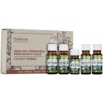 Saloos sada esenciálních olejů Čichový trénink 1 x ml + 4 x 10 ml – Zboží Dáma Saloos sada esenciálních olejů Čichový trénink 1 x ml + 4 x 10 ml – Zboží Dáma
