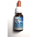 4betterlife tinktura KXS směs bylin 20 ml – Hledejceny.cz