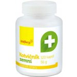 Wolfberry Tribulus terrestris kotvičník zemní 120 kapslí – Hledejceny.cz